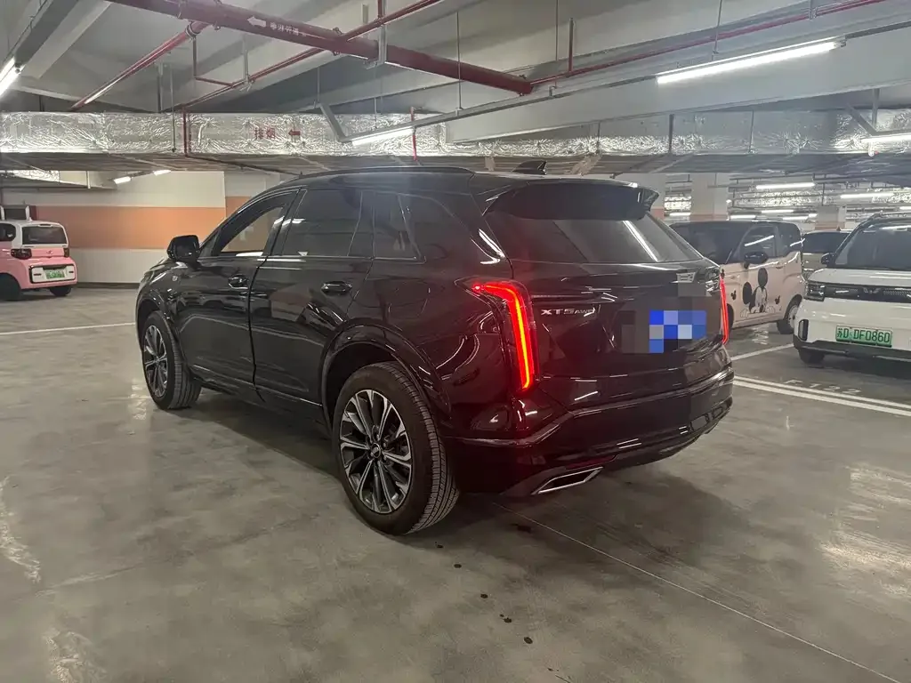 Миниатюра 3