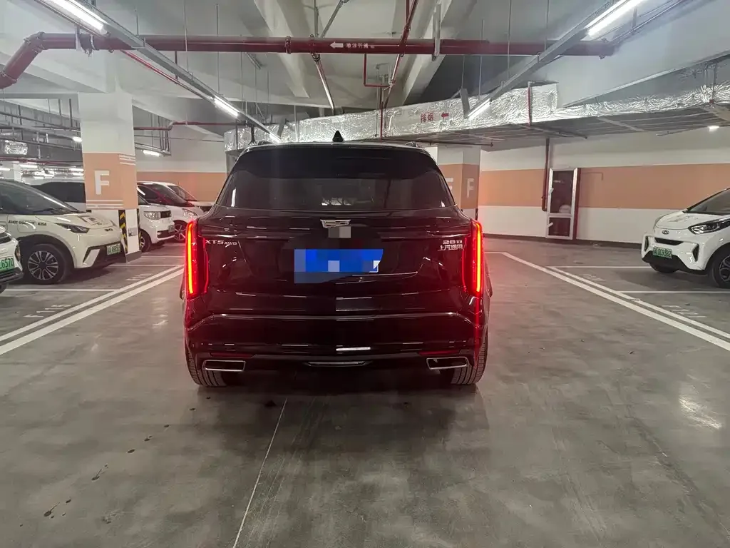 Миниатюра 4