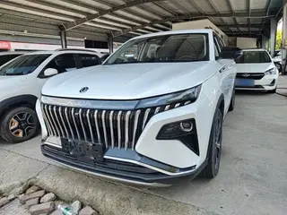 DONGFENG HAOJI 2022