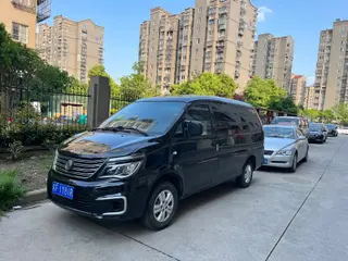 DONGFENG LINGZHI 2020