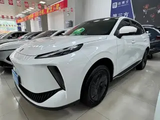 DONGFENG OTHER 2025