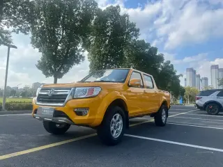 DONGFENG RICH 2020