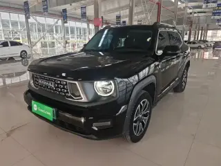 HAVAL DAGOU II NEW ENERGY 2023