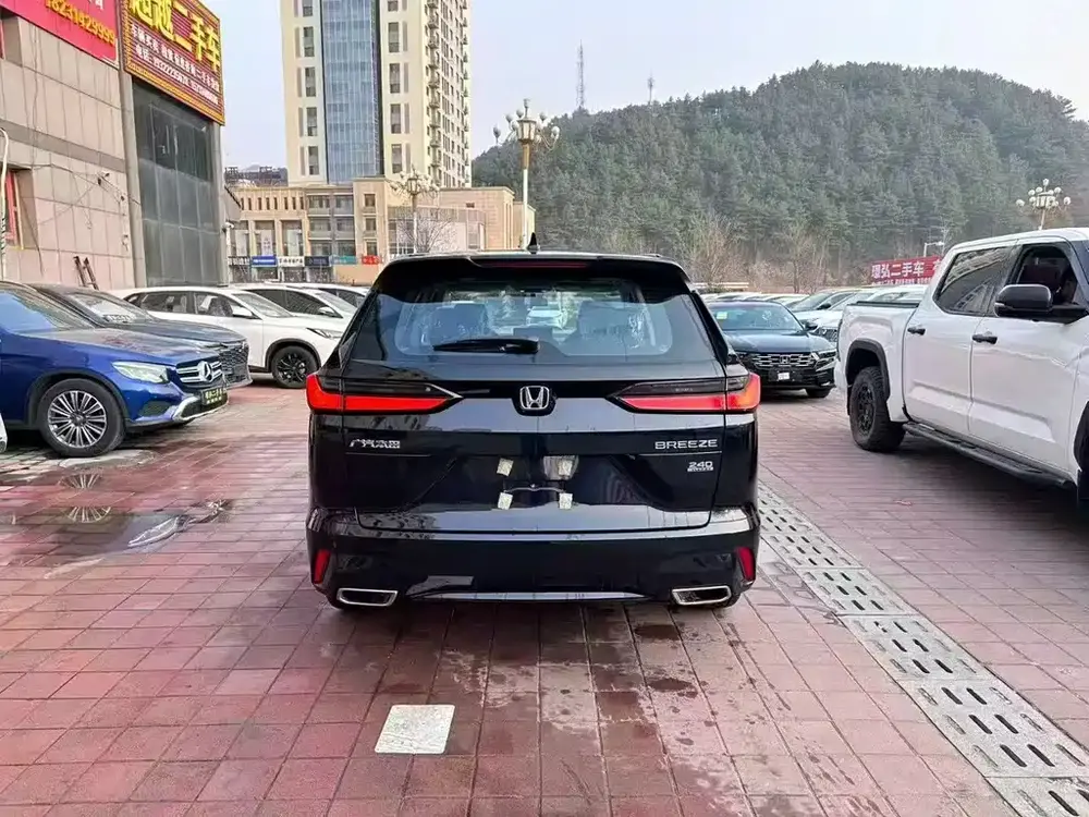 Миниатюра 5