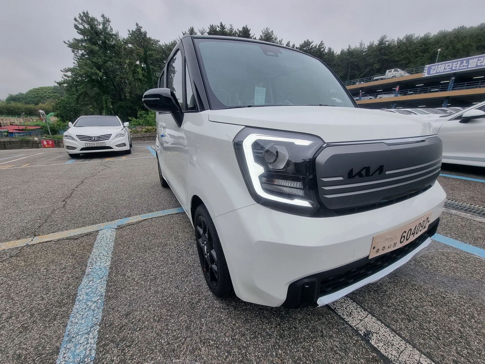 Миниатюра 3