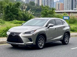 Lexus NX 2020