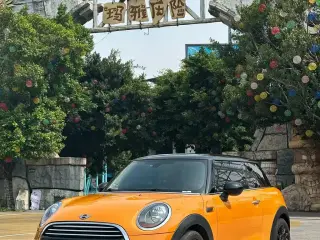 MINI OTHER 2018