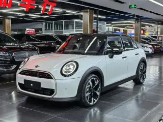 MINI OTHER 2026