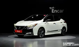 Nissan Leaf 2019