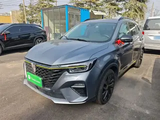 ROEWE RX5 2021