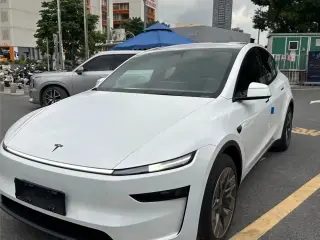 TESLA OTHER 2026
