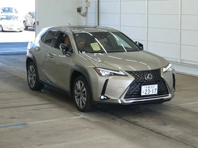 Lexus UX300e